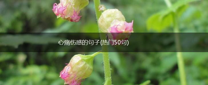 心痛伤感的句子(热门50句),第1张