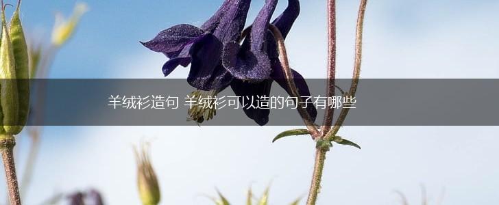 羊绒衫造句 羊绒衫可以造的句子有哪些,第1张
