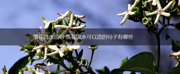 落花流水造句 落花流水可以造的句子有哪些,第1张