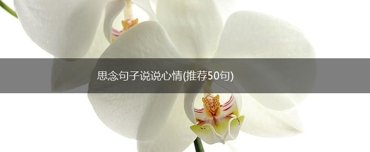 思念句子说说心情(推荐50句),第1张
