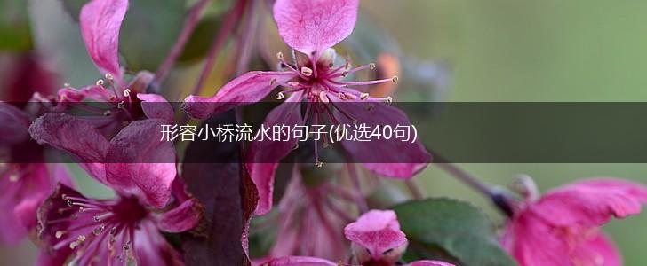 形容小桥流水的句子(优选40句),第1张