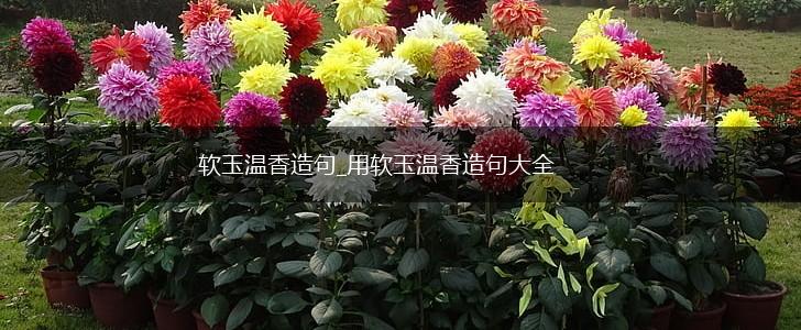 软玉温香造句_用软玉温香造句大全,第1张