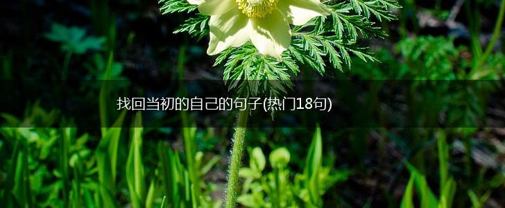 找回当初的自己的句子(热门18句),第1张