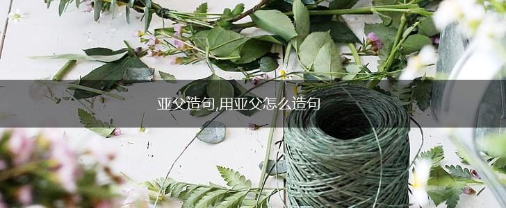 亚父造句,用亚父怎么造句,第1张
