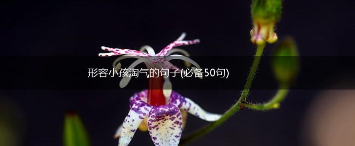 形容小孩淘气的句子(必备50句),第1张
