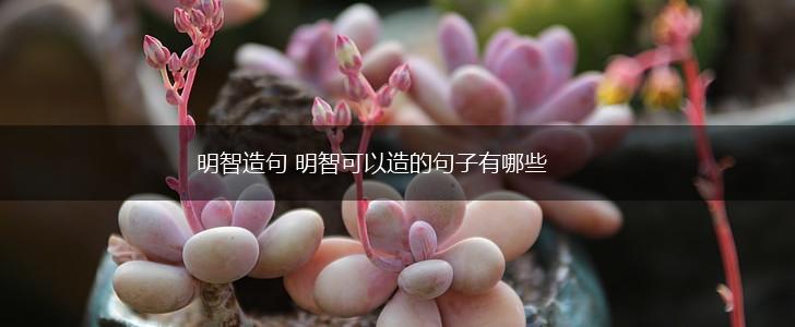 明智造句 明智可以造的句子有哪些,第1张