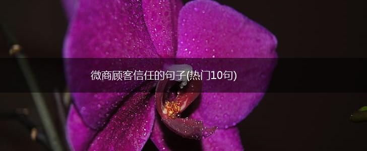 微商顾客信任的句子(热门10句),第1张