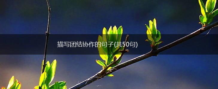 描写团结协作的句子(共50句),第1张