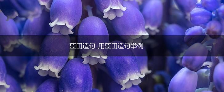 蓝田造句_用蓝田造句举例,第1张