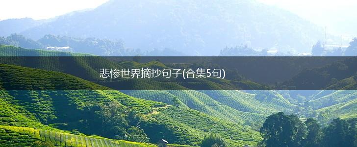 悲惨世界摘抄句子(合集5句),第1张