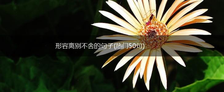 形容离别不舍的句子(热门50句),第1张