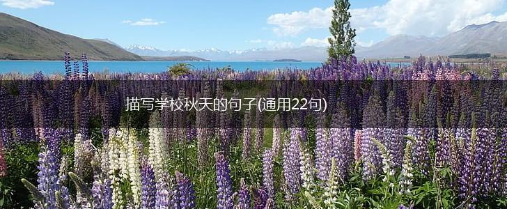 描写学校秋天的句子(通用22句),第1张