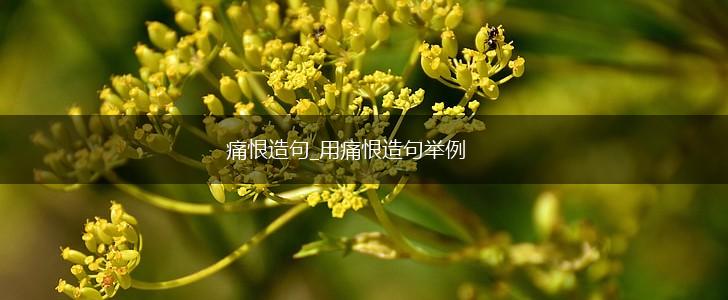 痛恨造句_用痛恨造句举例,第1张