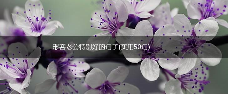 形容老公特别好的句子(实用50句),第1张