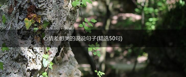 心情差想哭的说说句子(精选50句),第1张