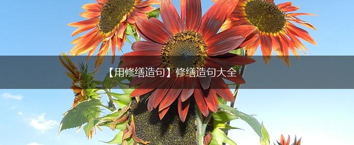 【用修缮造句】修缮造句大全,第1张