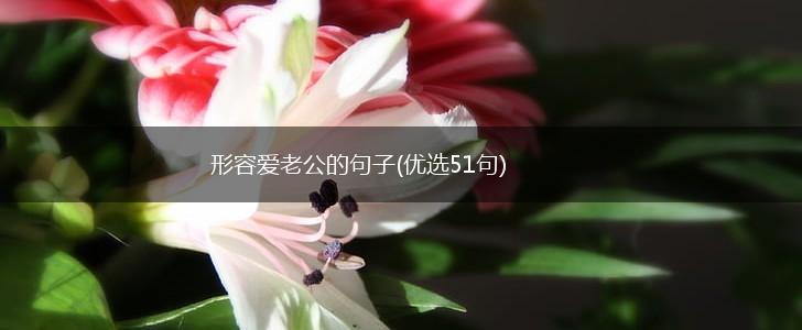 形容爱老公的句子(优选51句),第1张
