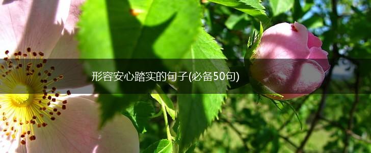 形容安心踏实的句子(必备50句),第1张