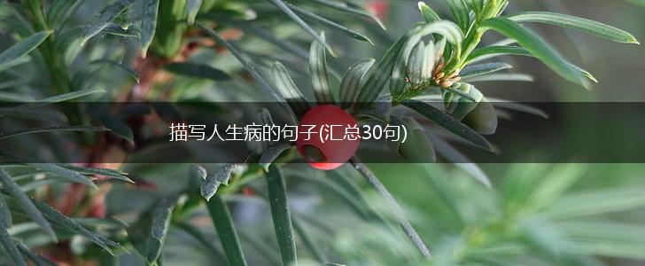 描写人生病的句子(汇总30句),第1张