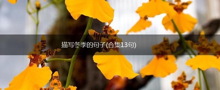 描写冬季的句子(合集13句),第1张