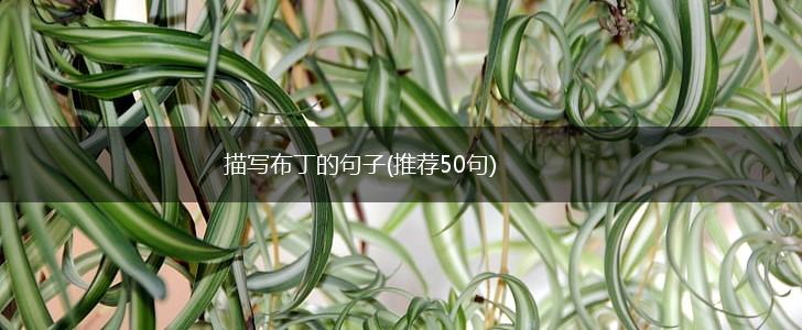 描写布丁的句子(推荐50句),第1张