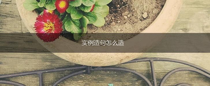 实例造句怎么造,第1张