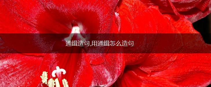 通缉造句,用通缉怎么造句,第1张