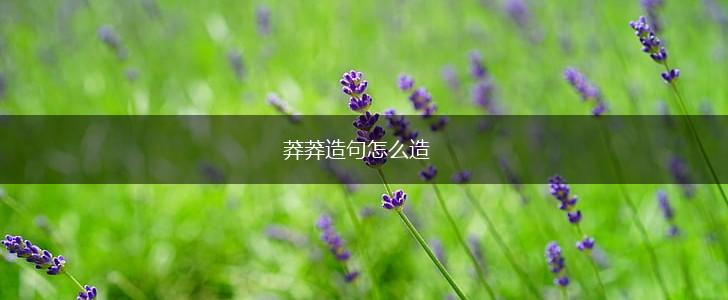 莽莽造句怎么造,第1张