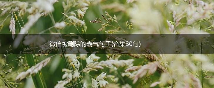 微信被删除的霸气句子(合集30句),第1张