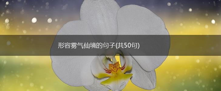 形容雾气仙境的句子(共50句),第1张
