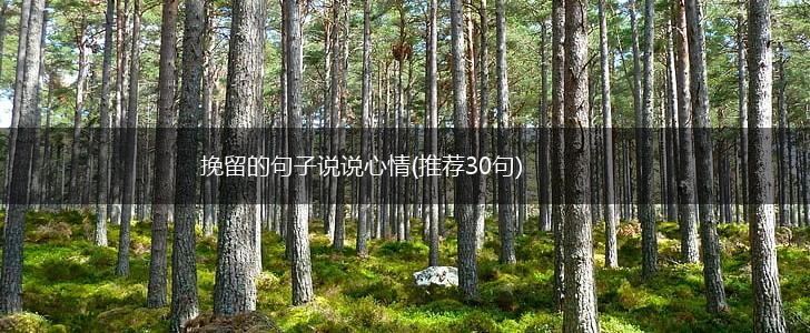 挽留的句子说说心情(推荐30句),第1张