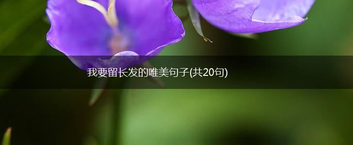 我要留长发的唯美句子(共20句),第1张