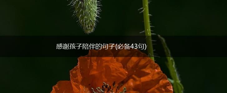 感谢孩子陪伴的句子(必备43句),第1张