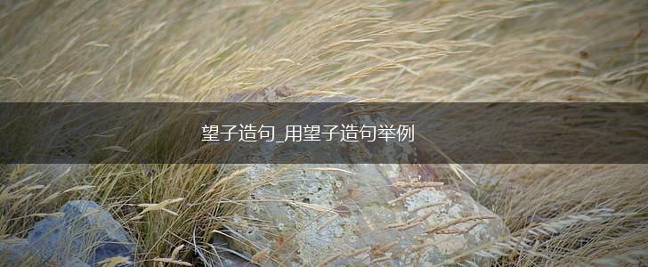 望子造句_用望子造句举例,第1张