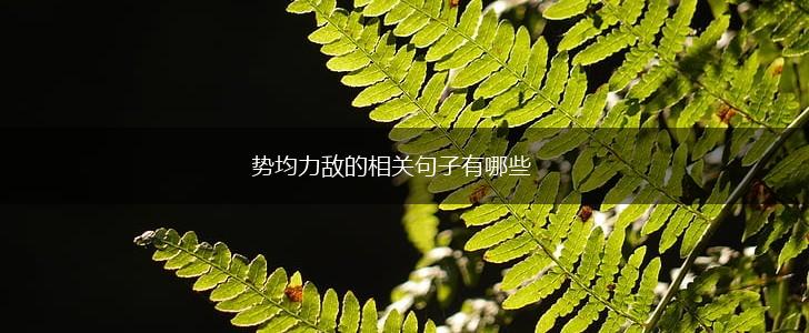 势均力敌的相关句子有哪些,第1张