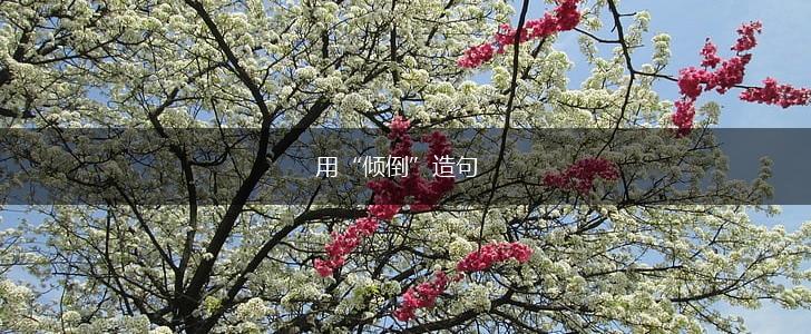 用“倾倒”造句,第1张