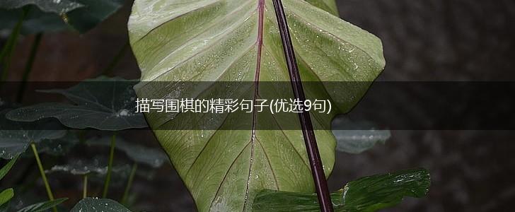 描写围棋的精彩句子(优选9句),第1张