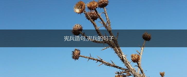 宪兵造句,宪兵的句子,第1张