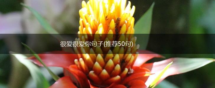 很爱很爱你句子(推荐50句),第1张