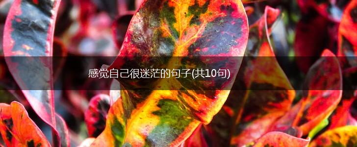 感觉自己很迷茫的句子(共10句),第1张
