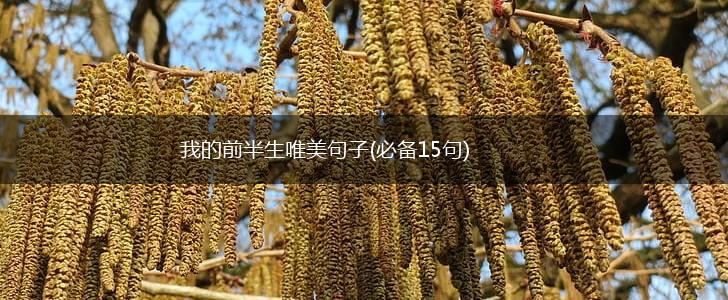 我的前半生唯美句子(必备15句),第1张