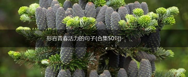 形容青春活力的句子(合集50句),第1张