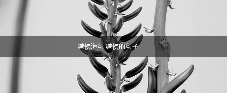 减慢造句 减慢的句子,第1张