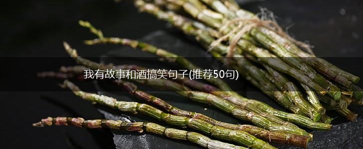 我有故事和酒搞笑句子(推荐50句),第1张
