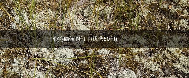 心疼偶像的句子(优选50句),第1张