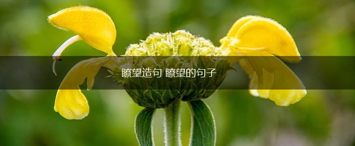 瞭望造句 瞭望的句子,第1张