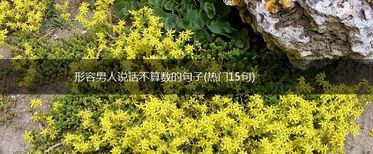 形容男人说话不算数的句子(热门15句),第1张