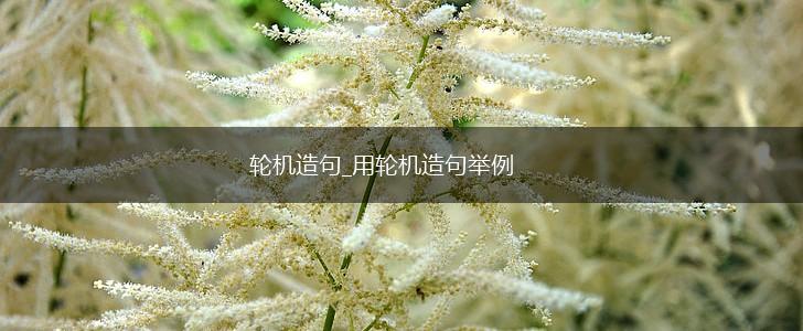 轮机造句_用轮机造句举例,第1张