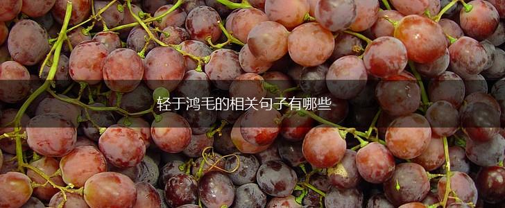 轻于鸿毛的相关句子有哪些,第1张
