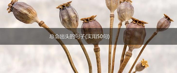 总会出头的句子(实用50句),第1张